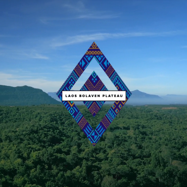 https://vimeo.com/205034538